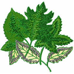 Leaves Embroidery Design 7
